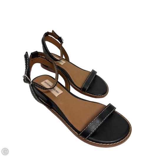 Sandals Flats By Antonio Melani In Black, Size: 5.5