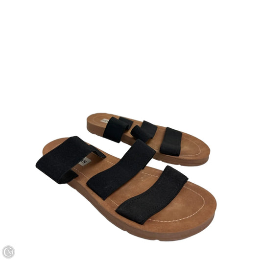Sandals Flats By Steve Madden In Black, Size: 7