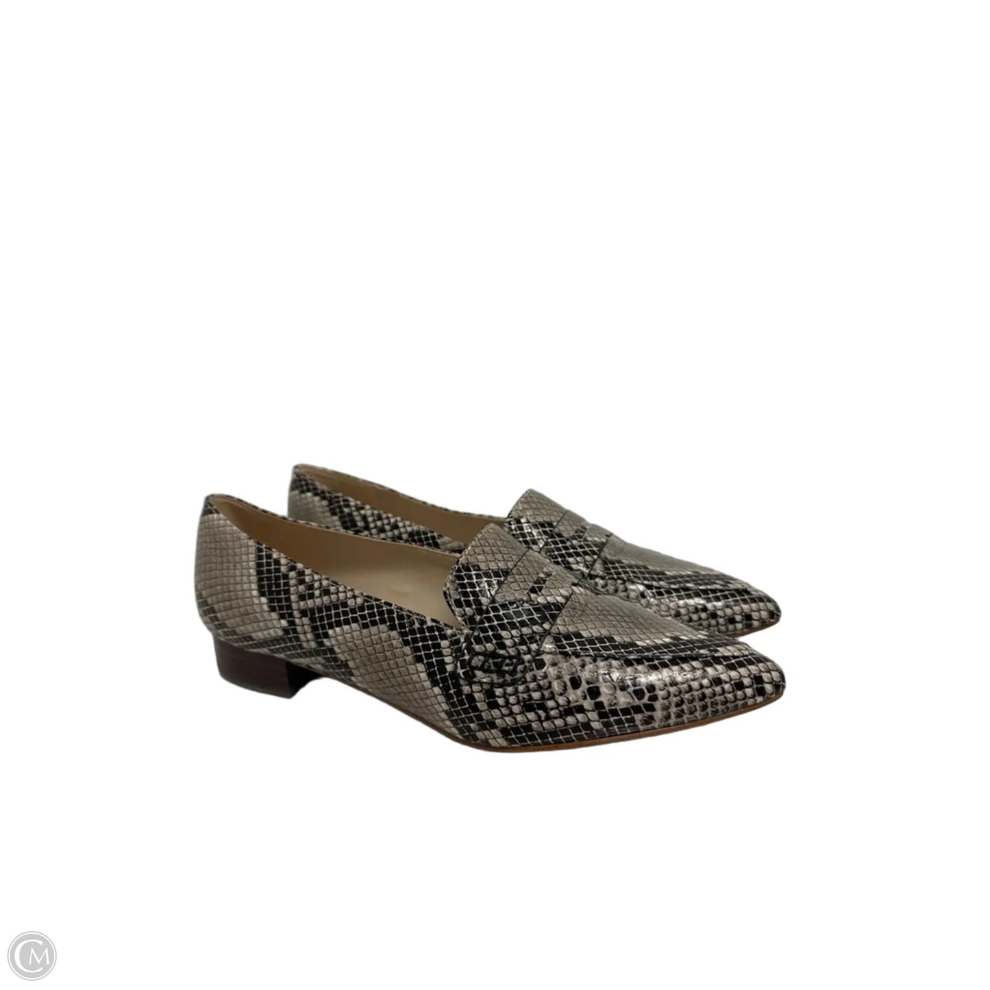 Shoes Flats By Marc Fisher In Snakeskin Print, Size: 9