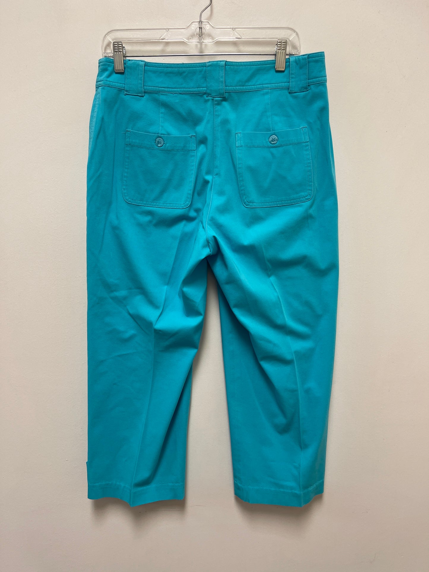 Pants Other By Coldwater Creek In Blue, Size: 8