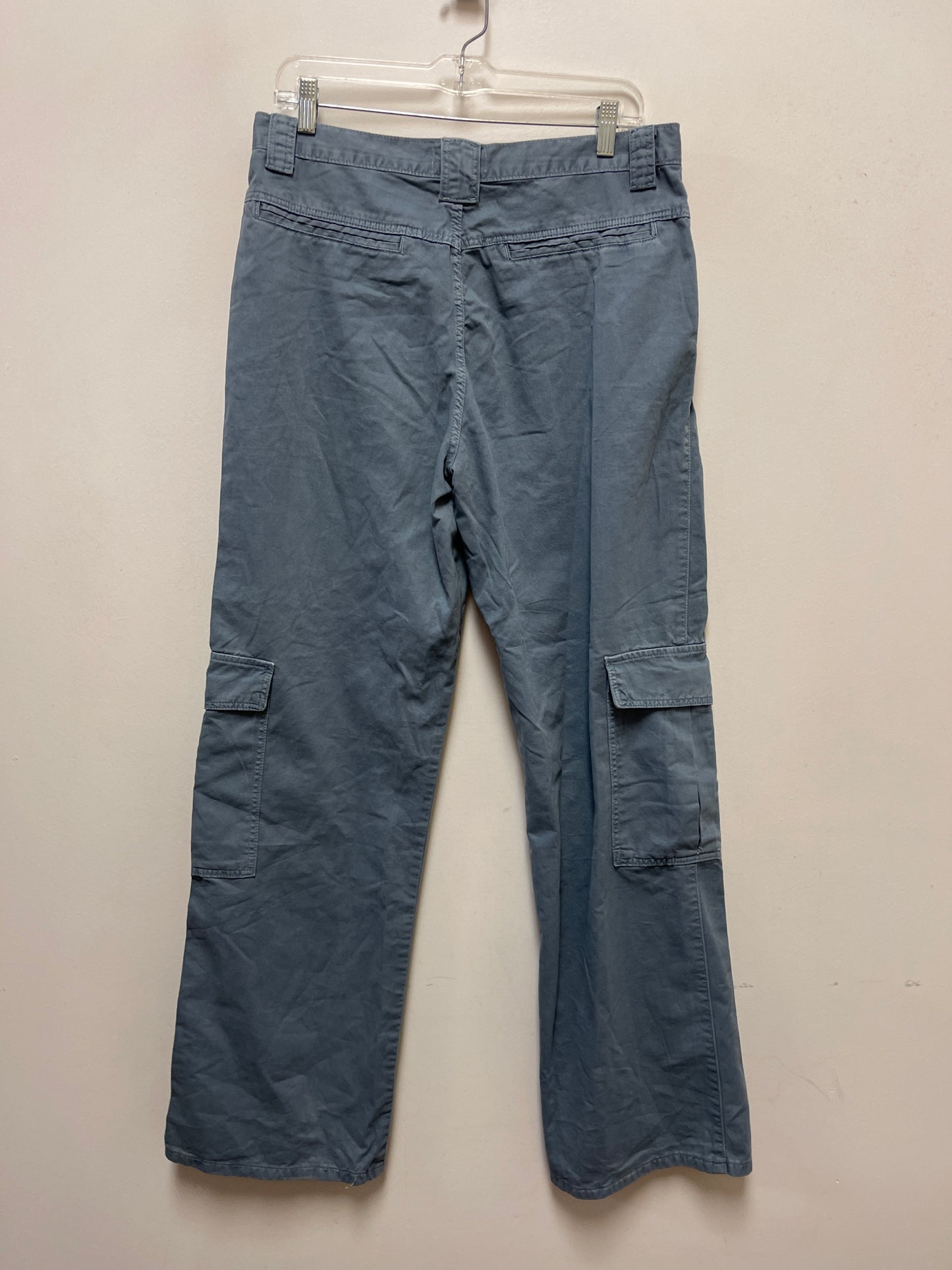 Pants Other By Zara In Blue, Size: 8