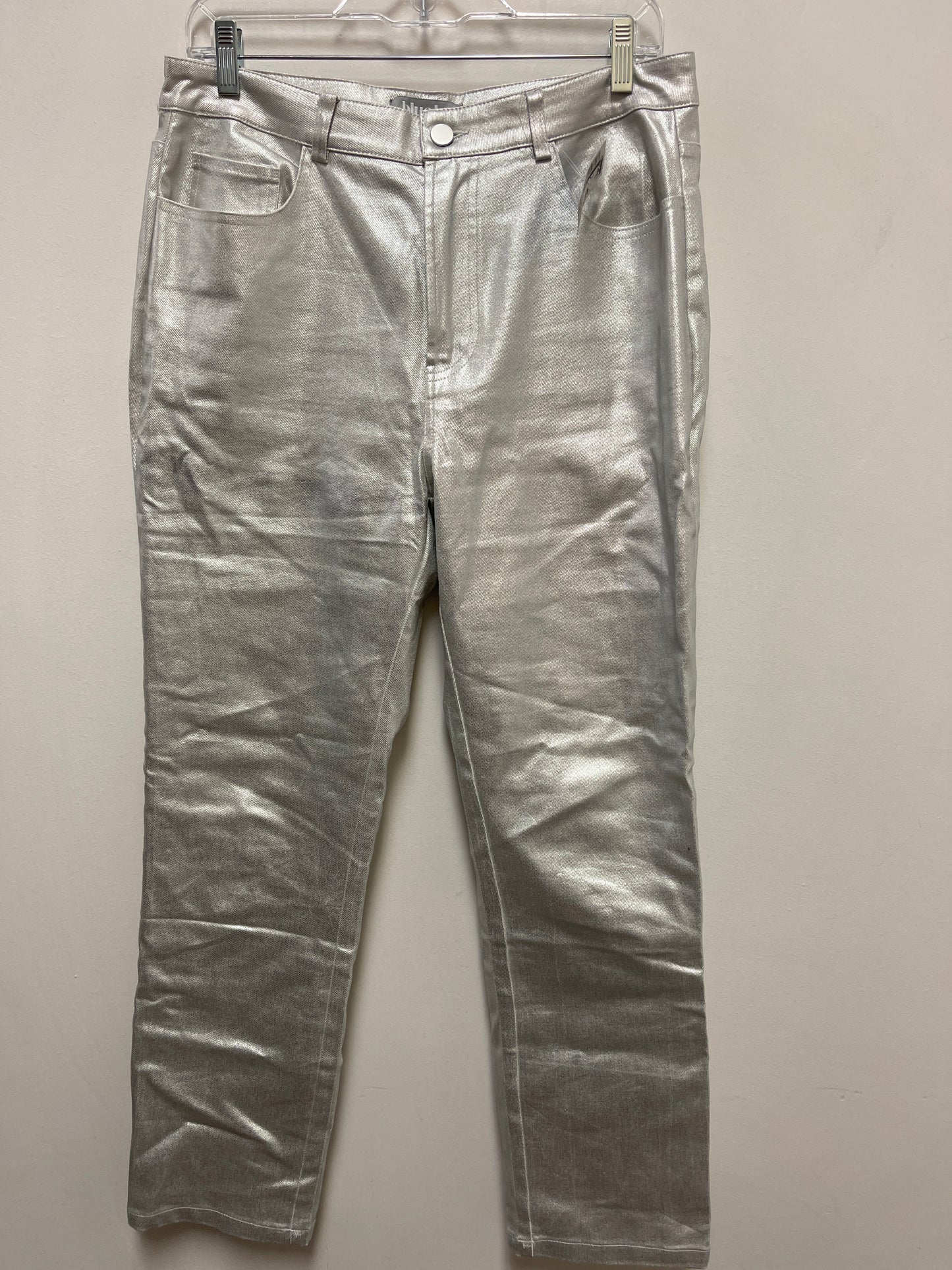 Pants Other By Blue B In Silver, Size: 12