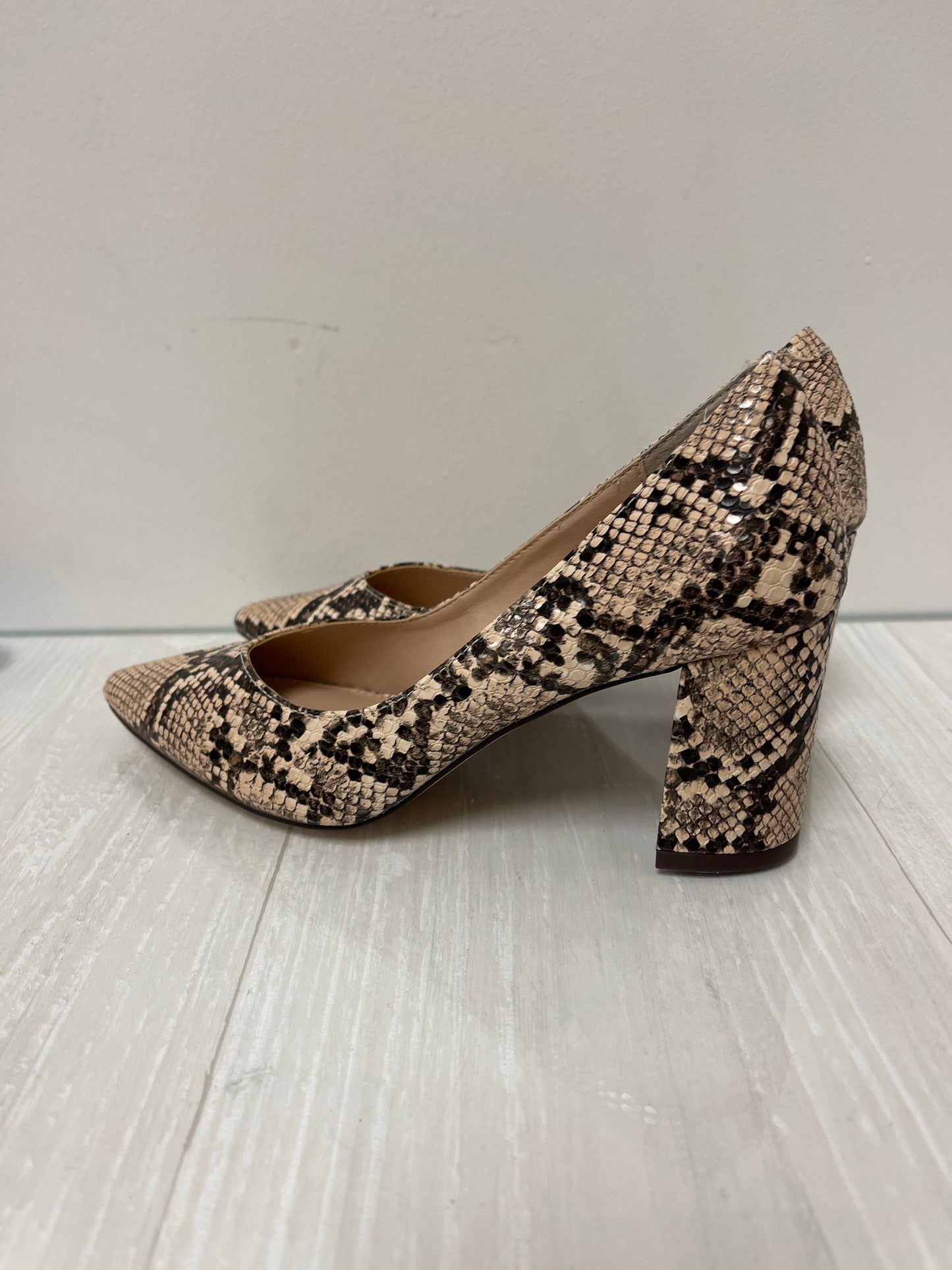 Shoes Heels Block By Steve Madden In Snakeskin Print, Size: 6