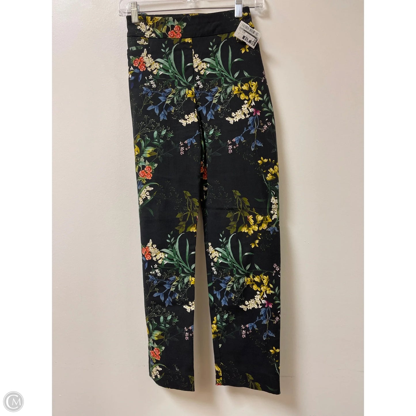 Pants Other By Chicos In Floral Print, Size: 6