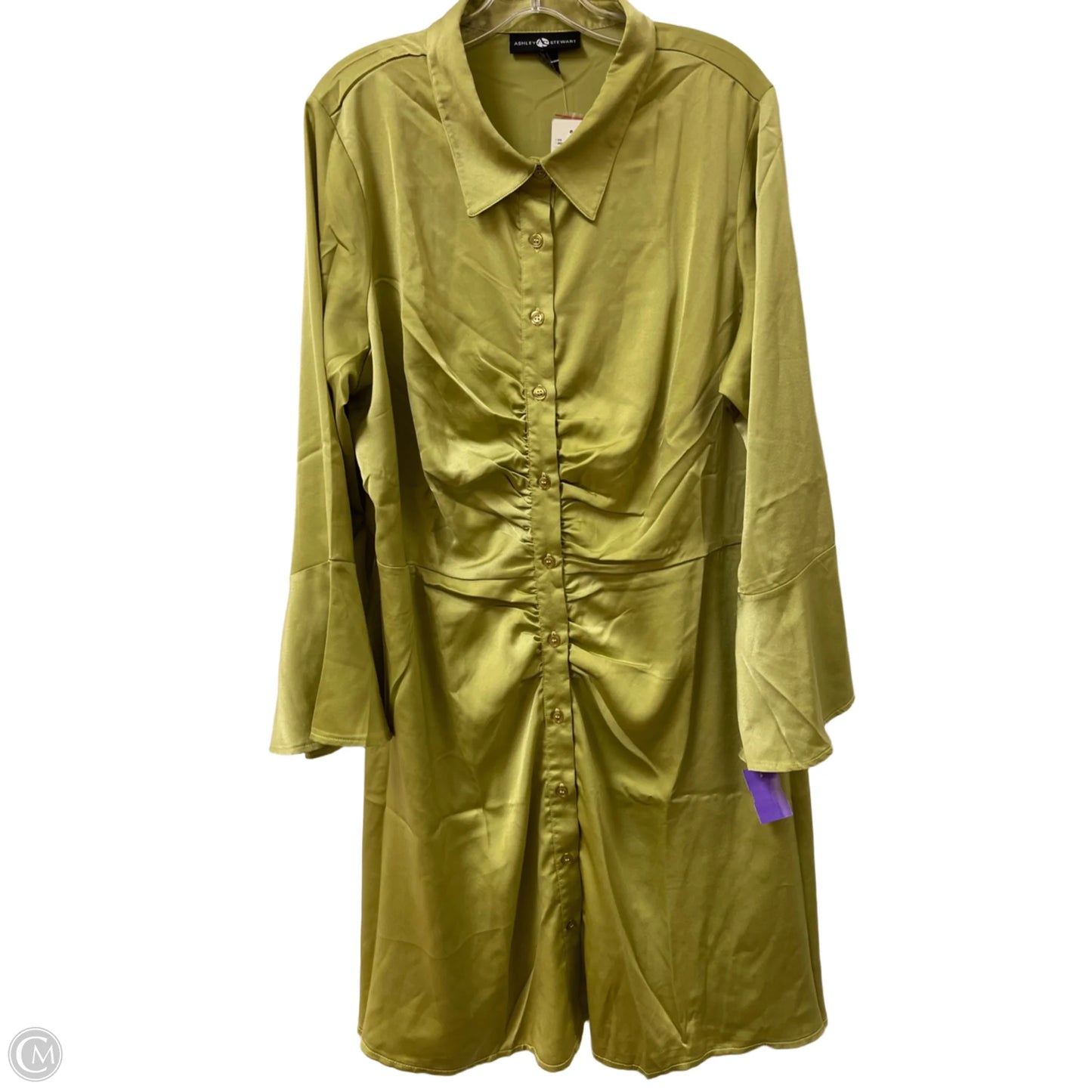 Dress Casual Short By Ashley Stewart In Green, Size: 2x