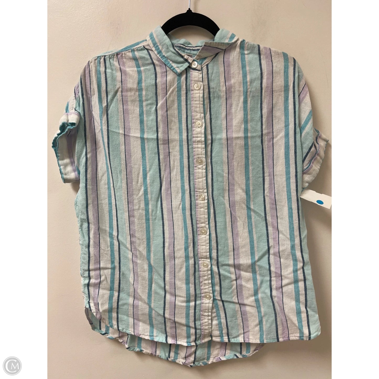 Blouse Short Sleeve By Time And Tru In Blue & White, Size: S