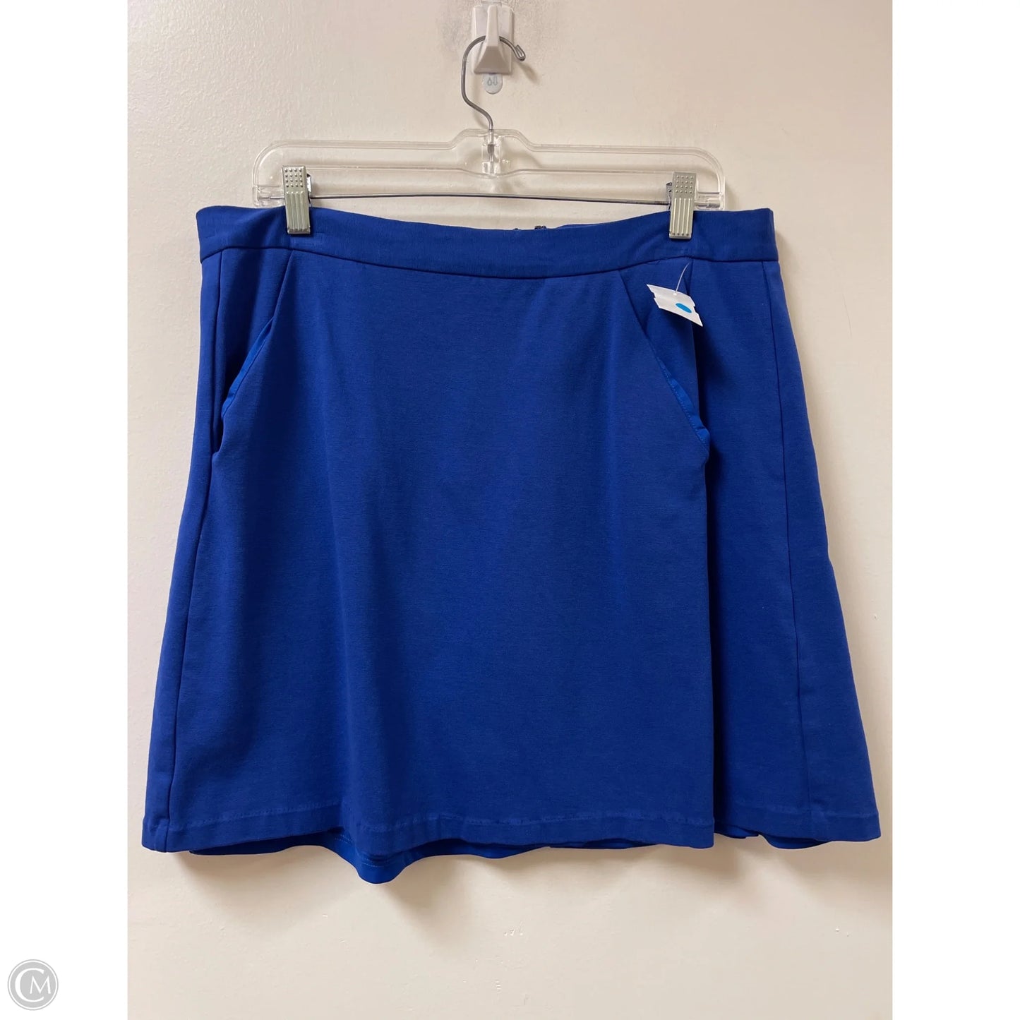 Skirt Mini & Short By Hutch In Blue, Size: 16