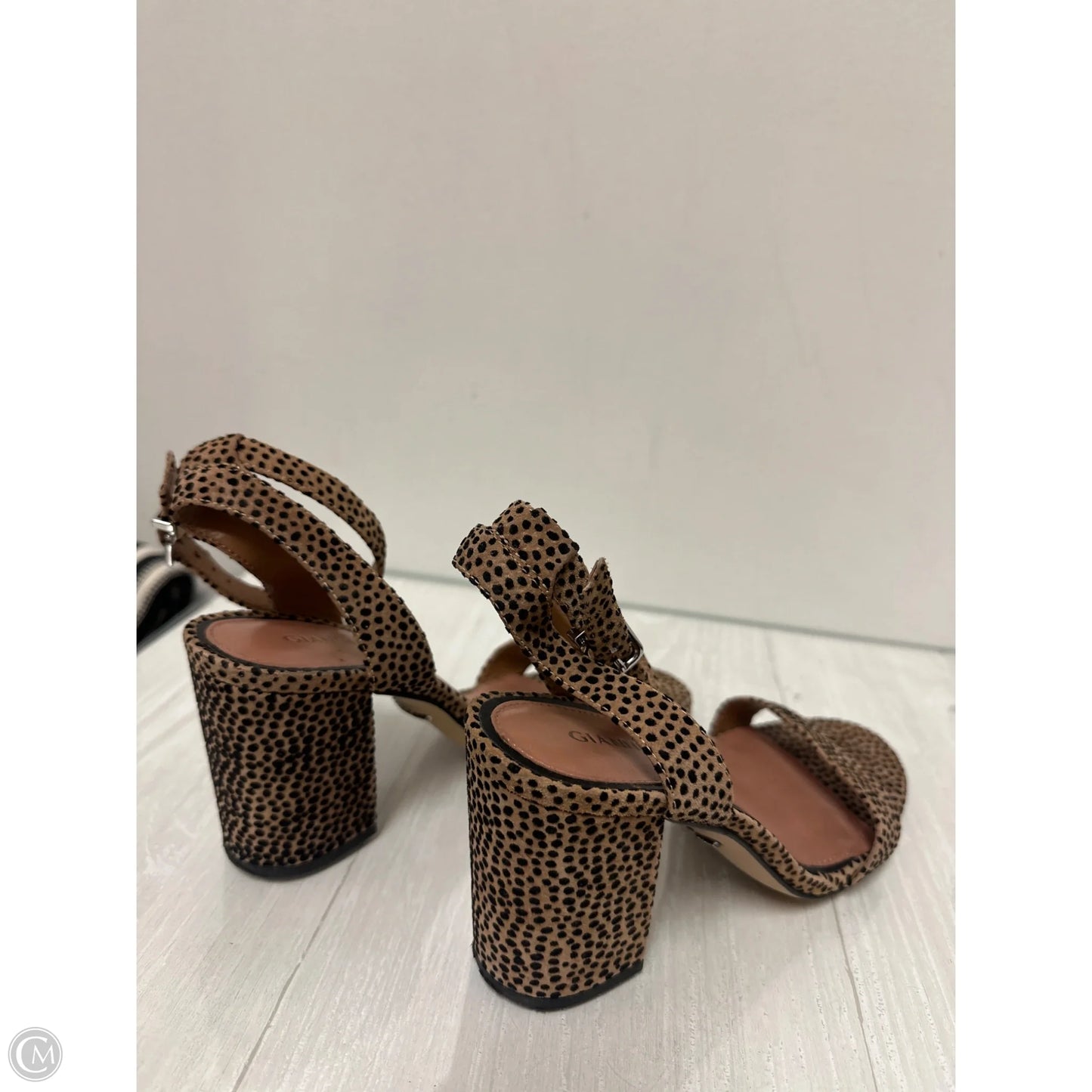 Sandals Heels Block By Gianni Bini In Animal Print, Size: 7