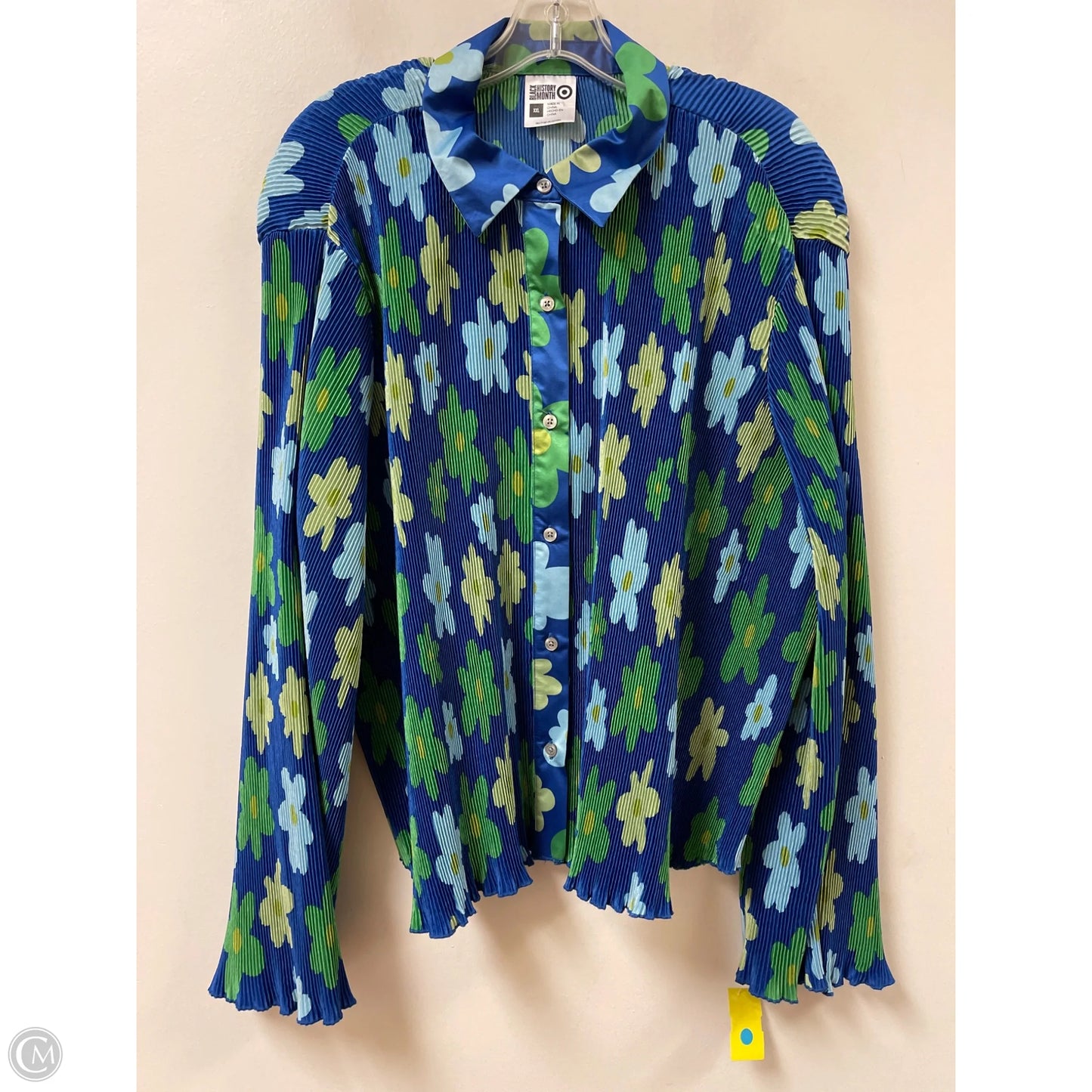 Blouse Long Sleeve By Target In Blue & Green, Size: 1x