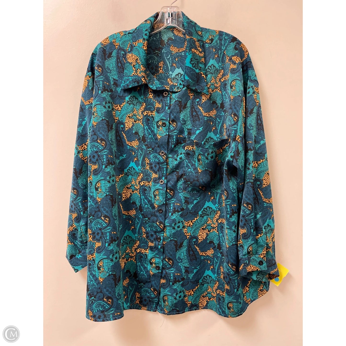 Blouse Long Sleeve By Shein In Teal, Size: 2x