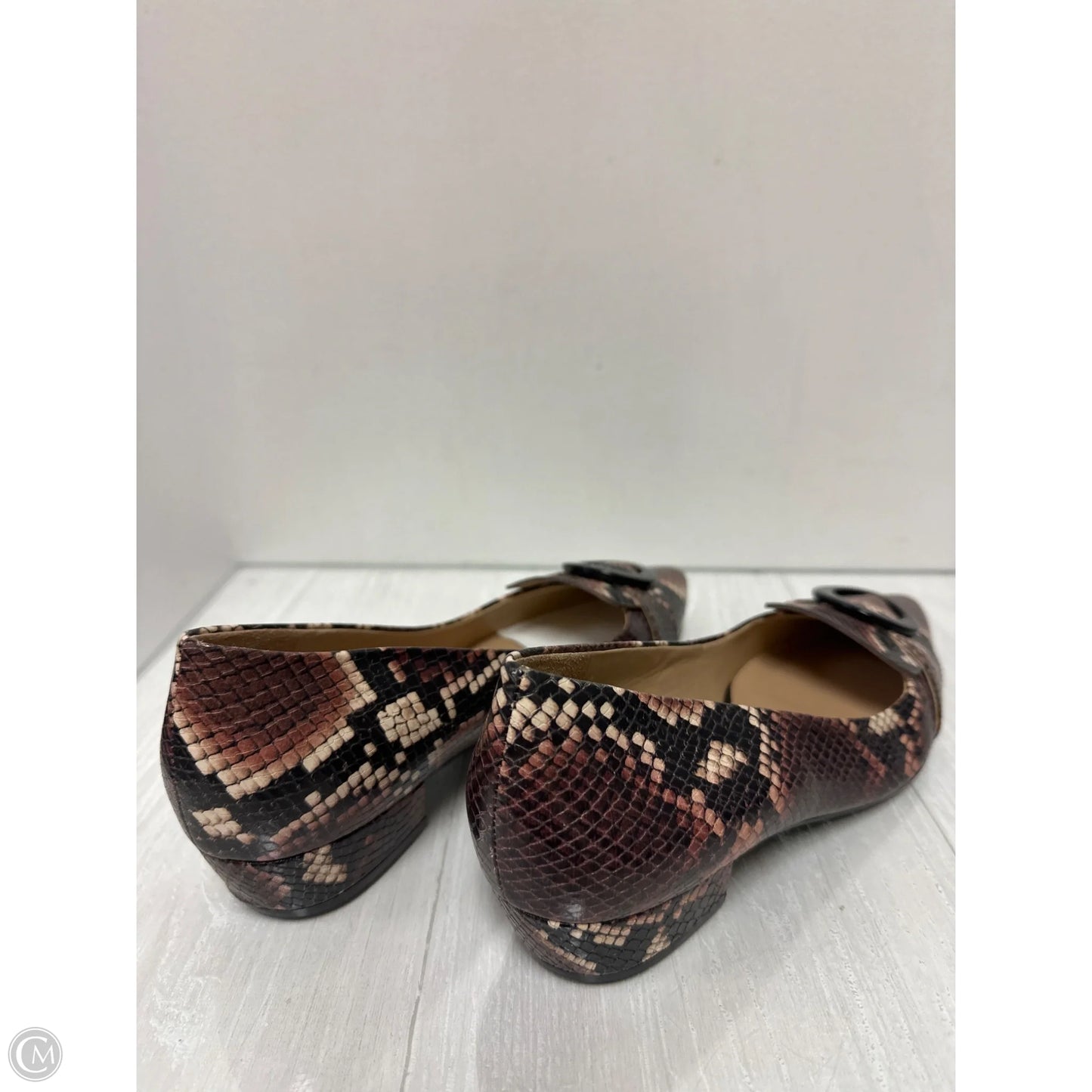 Shoes Heels Block By Naturalizer In Snakeskin Print, Size: 8