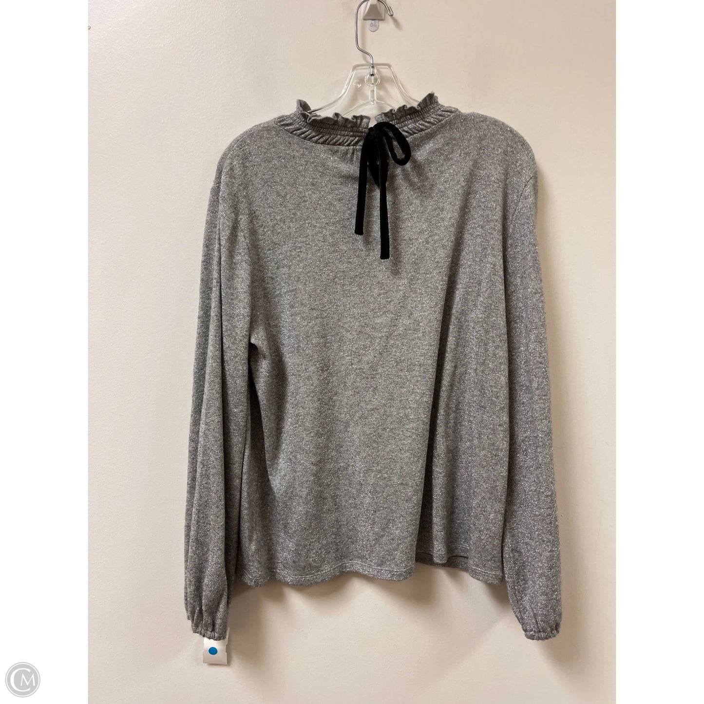 Top Long Sleeve By Talbots In Silver, Size: L