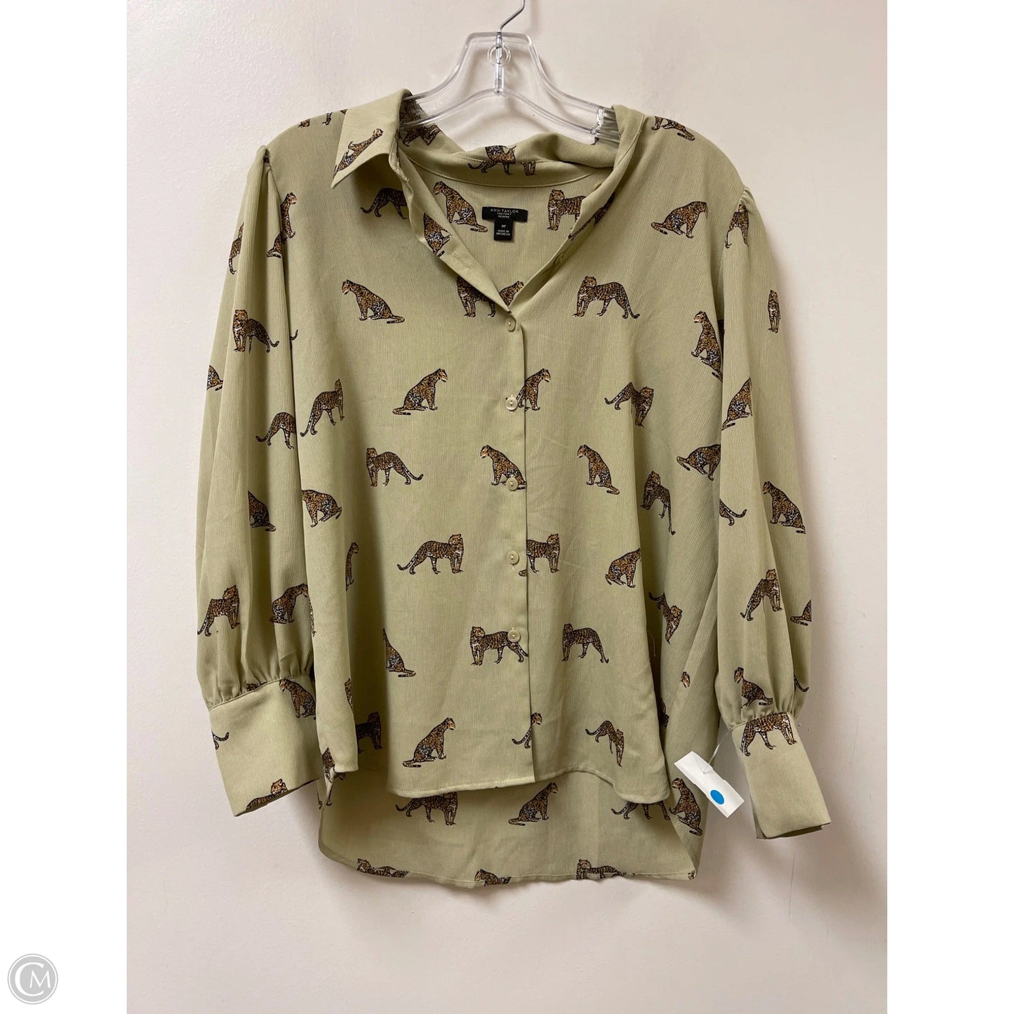 Blouse Long Sleeve By Ann Taylor In Green, Size: Mp