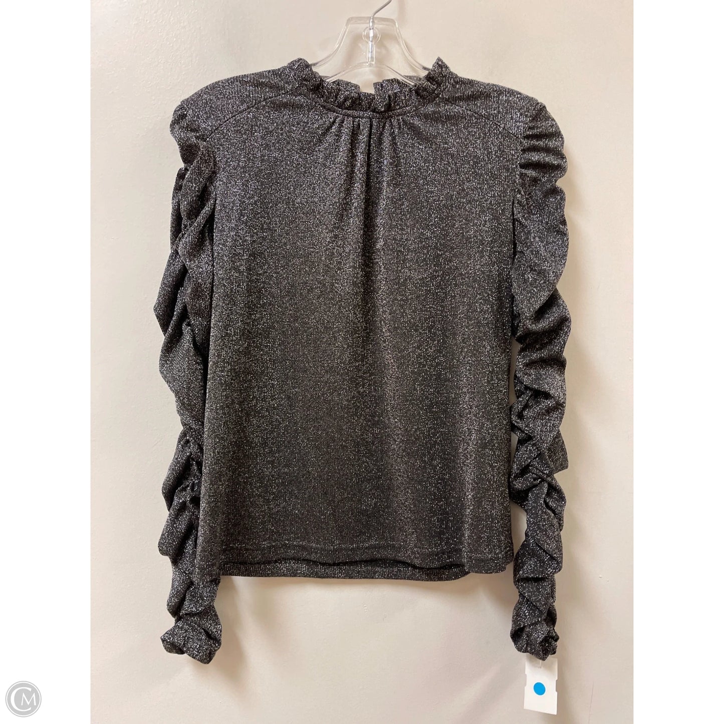 Top Long Sleeve By Walter Baker In Silver, Size: Xs