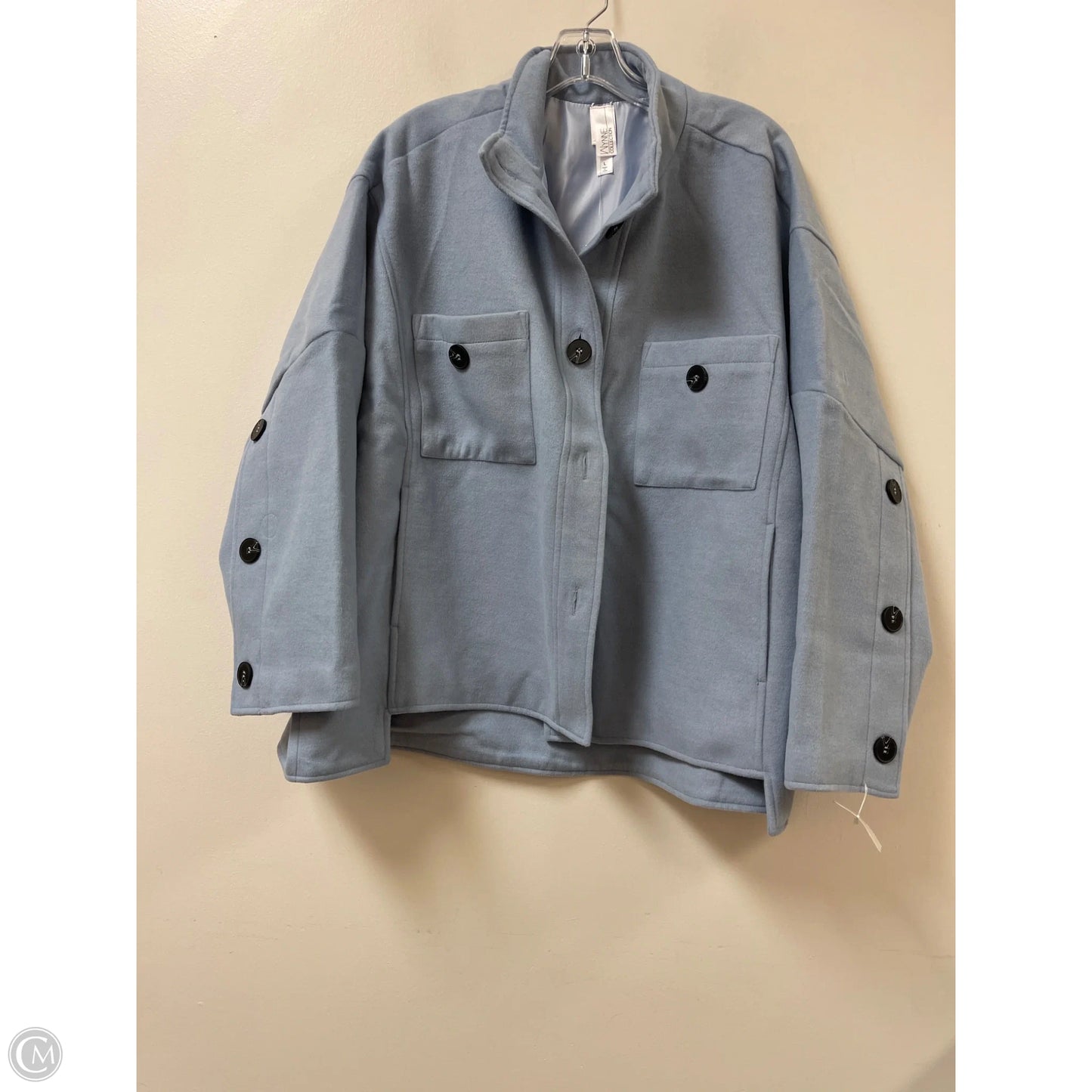 Coat Other By Clothes Mentor In Blue, Size: L