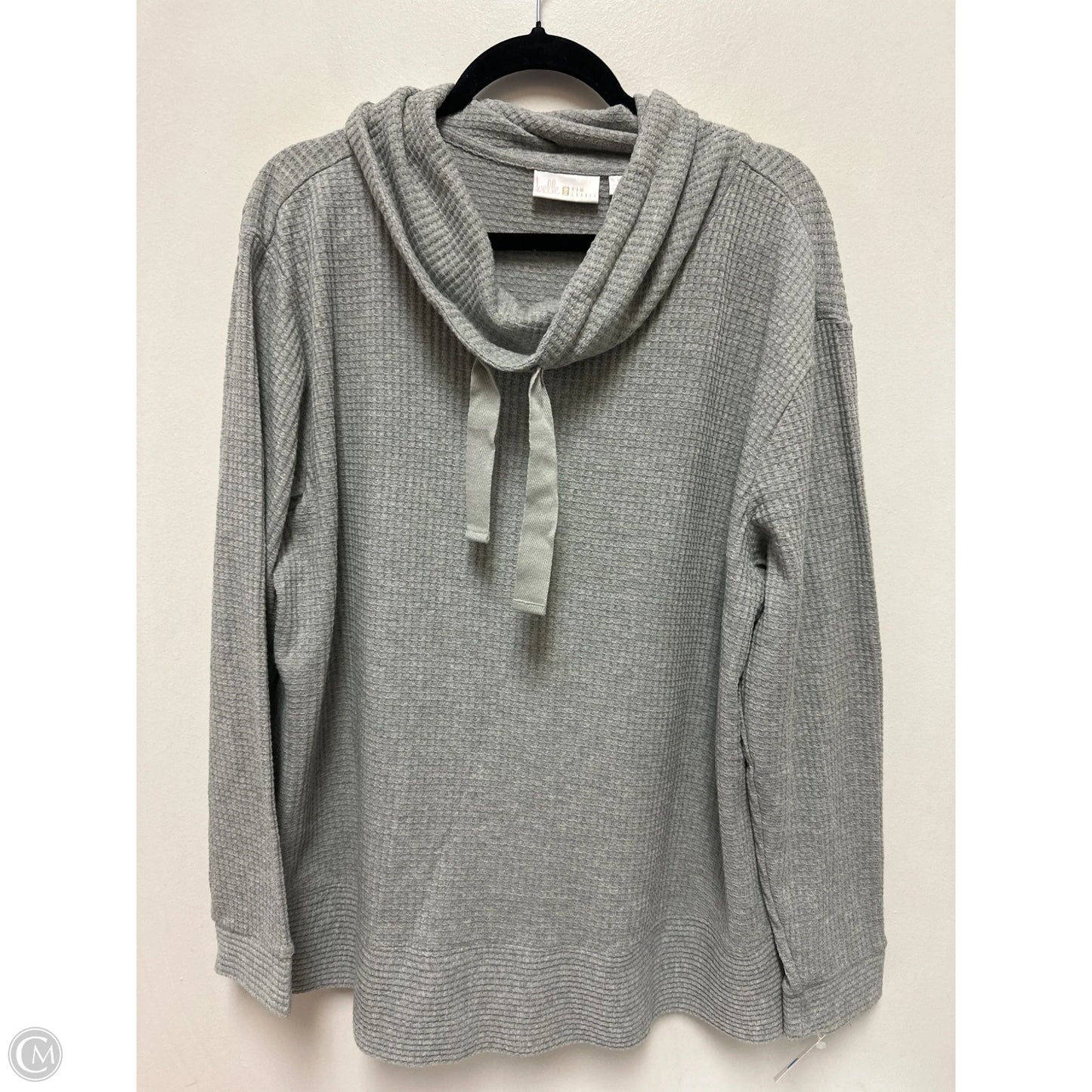 Sweatshirt Collar By Belle By Kim Gravel In Grey, Size: 1x