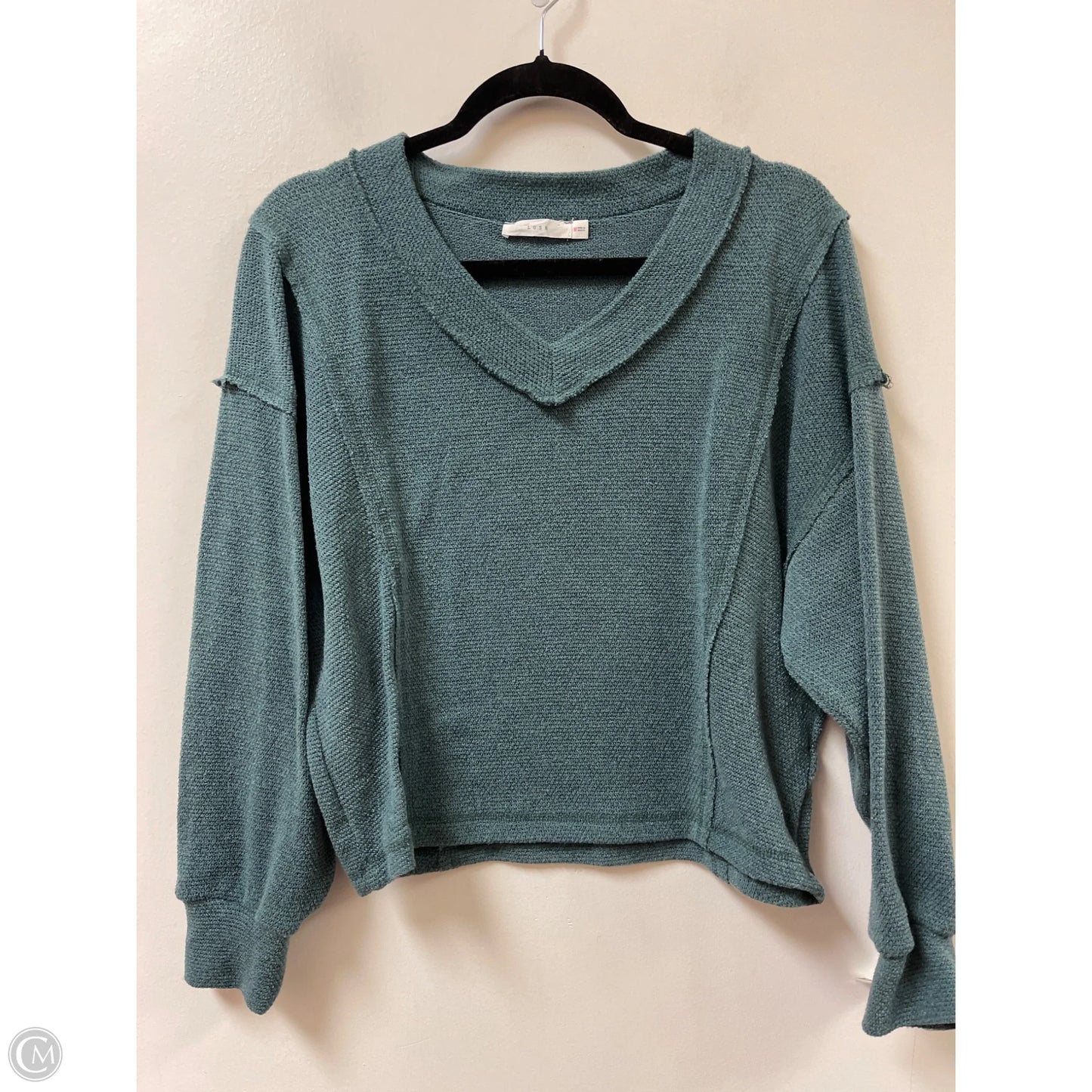 Top Long Sleeve By Lush In Green, Size: M