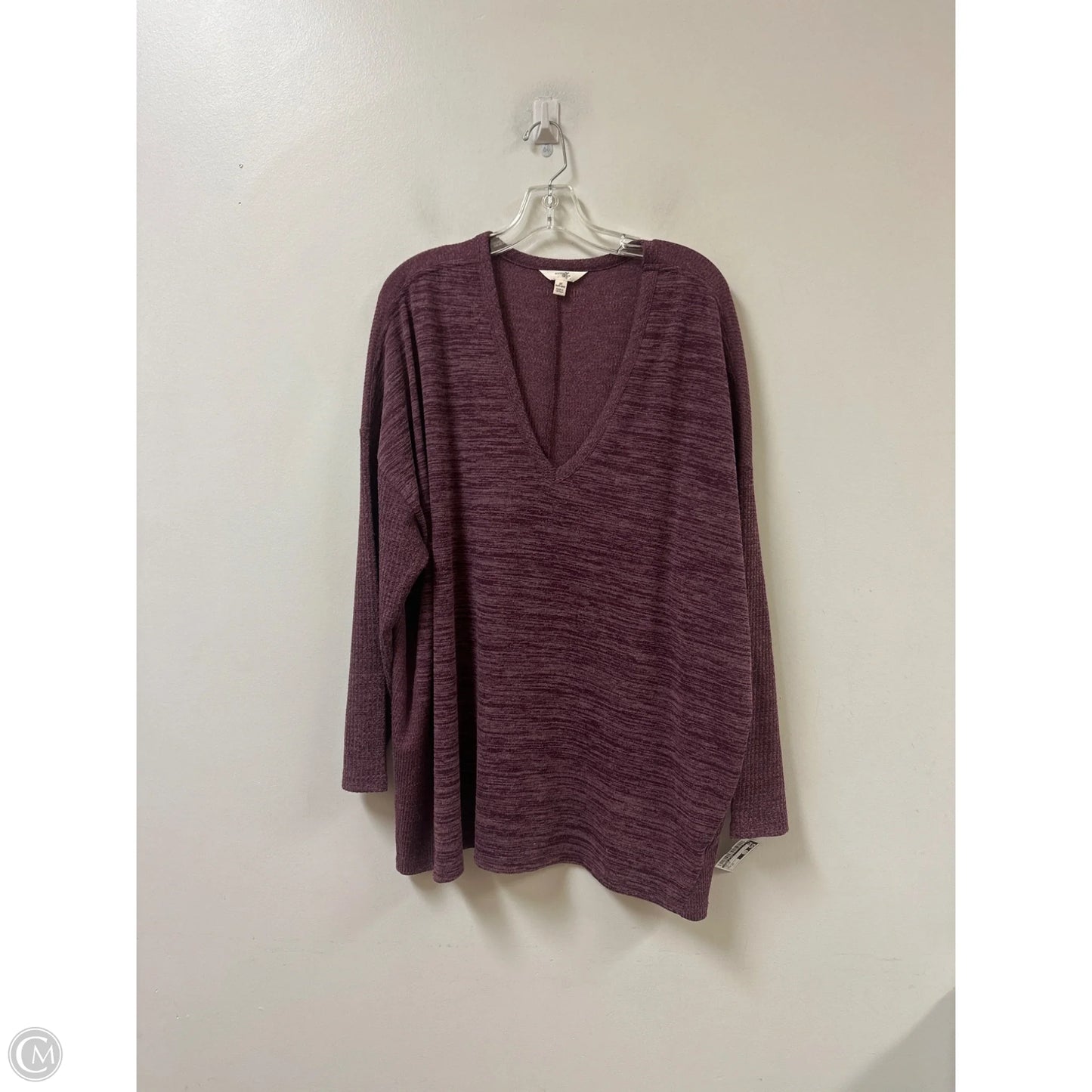 Top Long Sleeve By Terra & Sky In Purple, Size: 3x