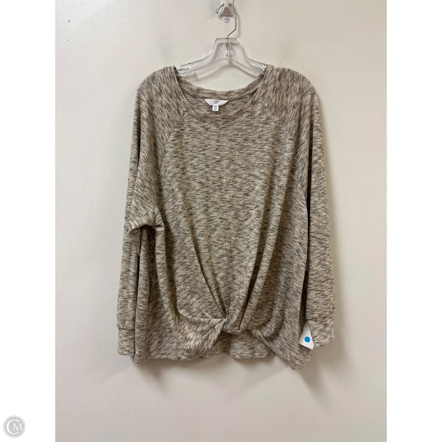 Top Long Sleeve By Time And Tru In Cream, Size: 3x