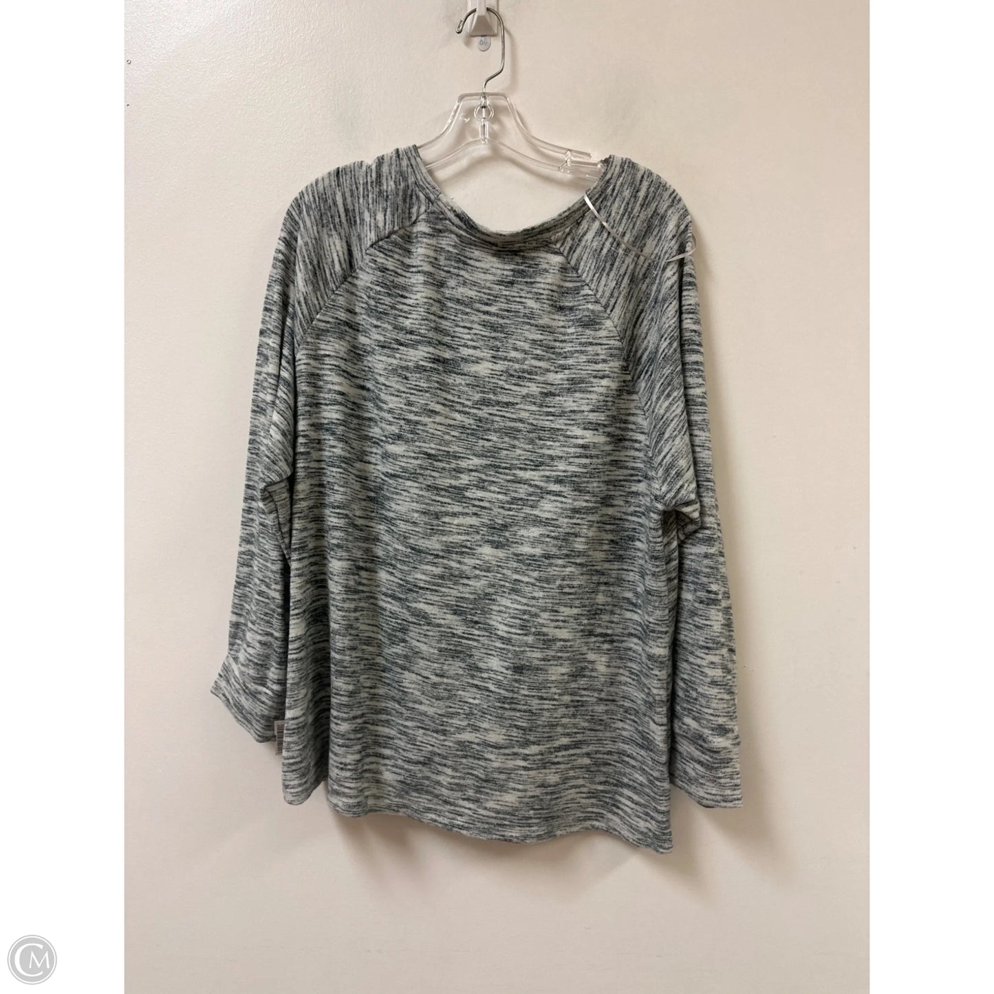 Top Long Sleeve By Time And Tru In Grey, Size: 3x