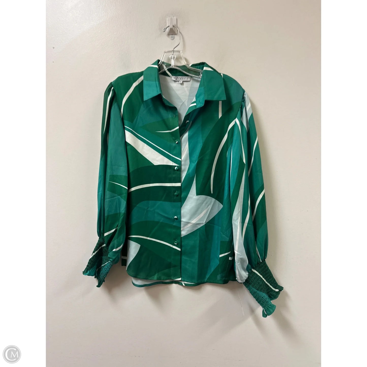 Blouse Long Sleeve By Clothes Mentor In Green & White, Size: L