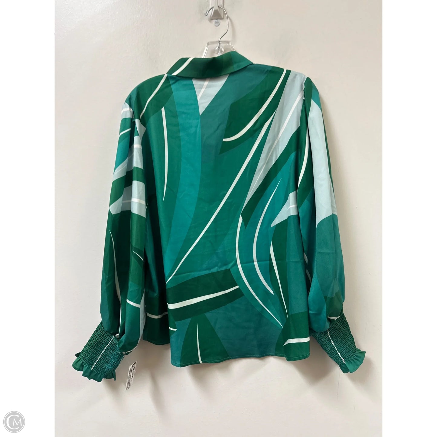 Blouse Long Sleeve By Clothes Mentor In Green & White, Size: L