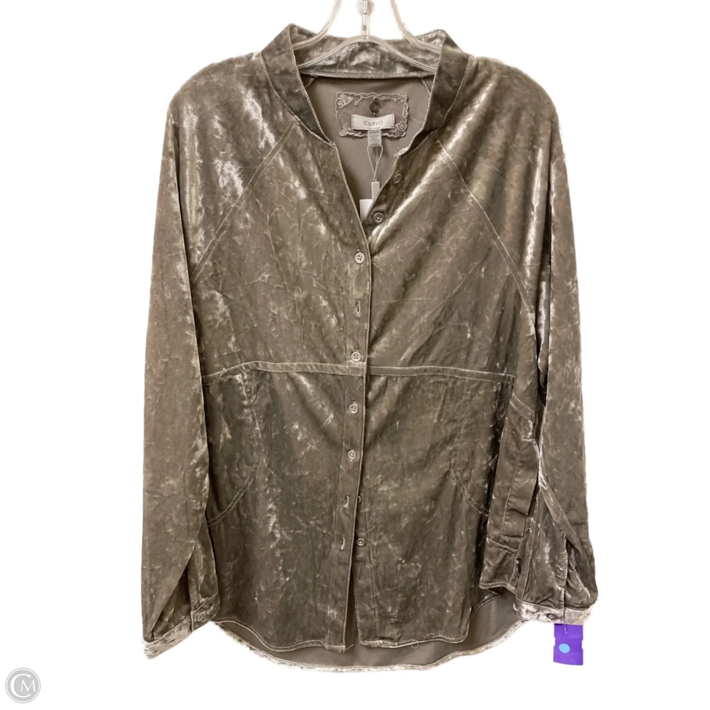 Blouse Long Sleeve By Cupio In Grey, Size: M
