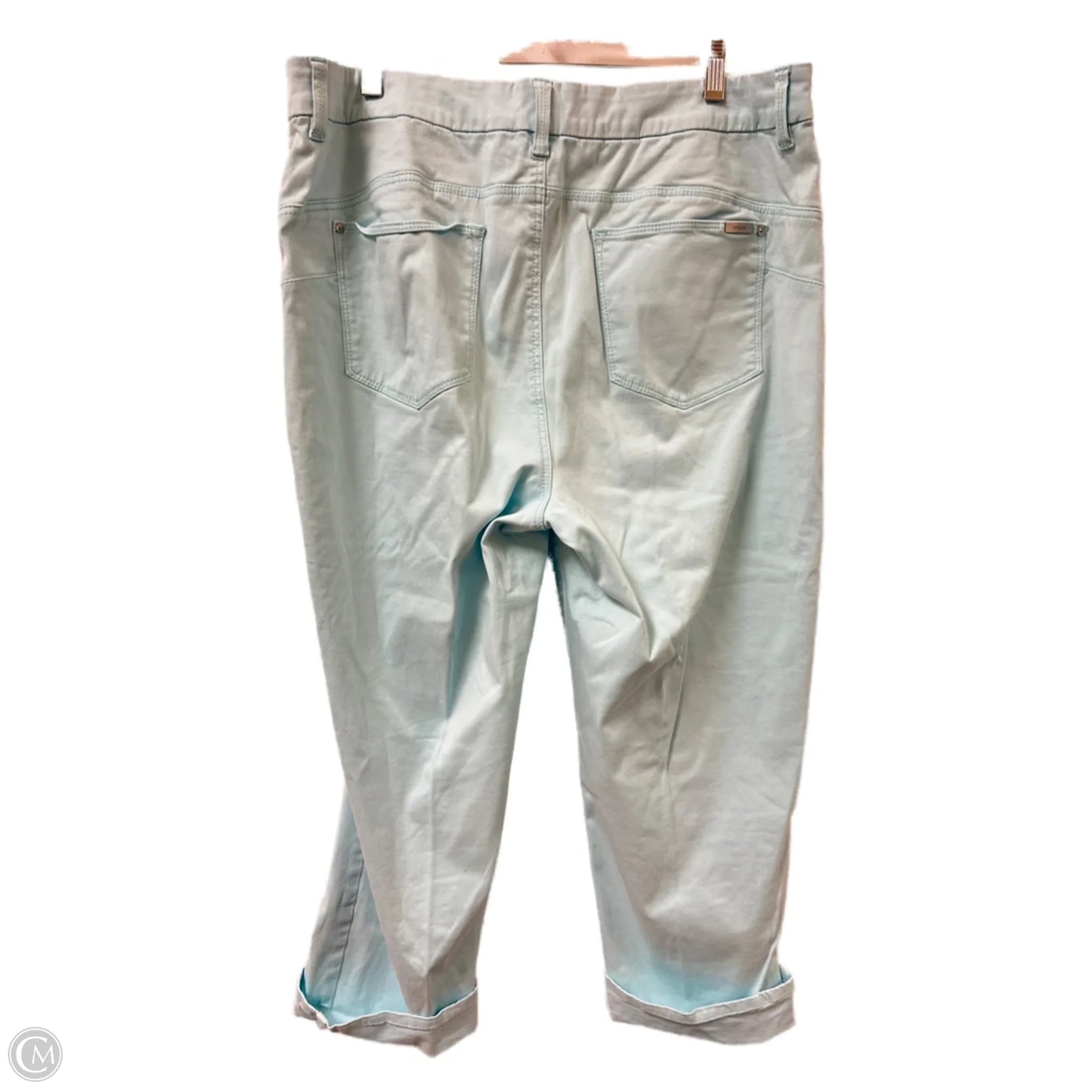 Pants Other By Chicos In Blue, Size: 12