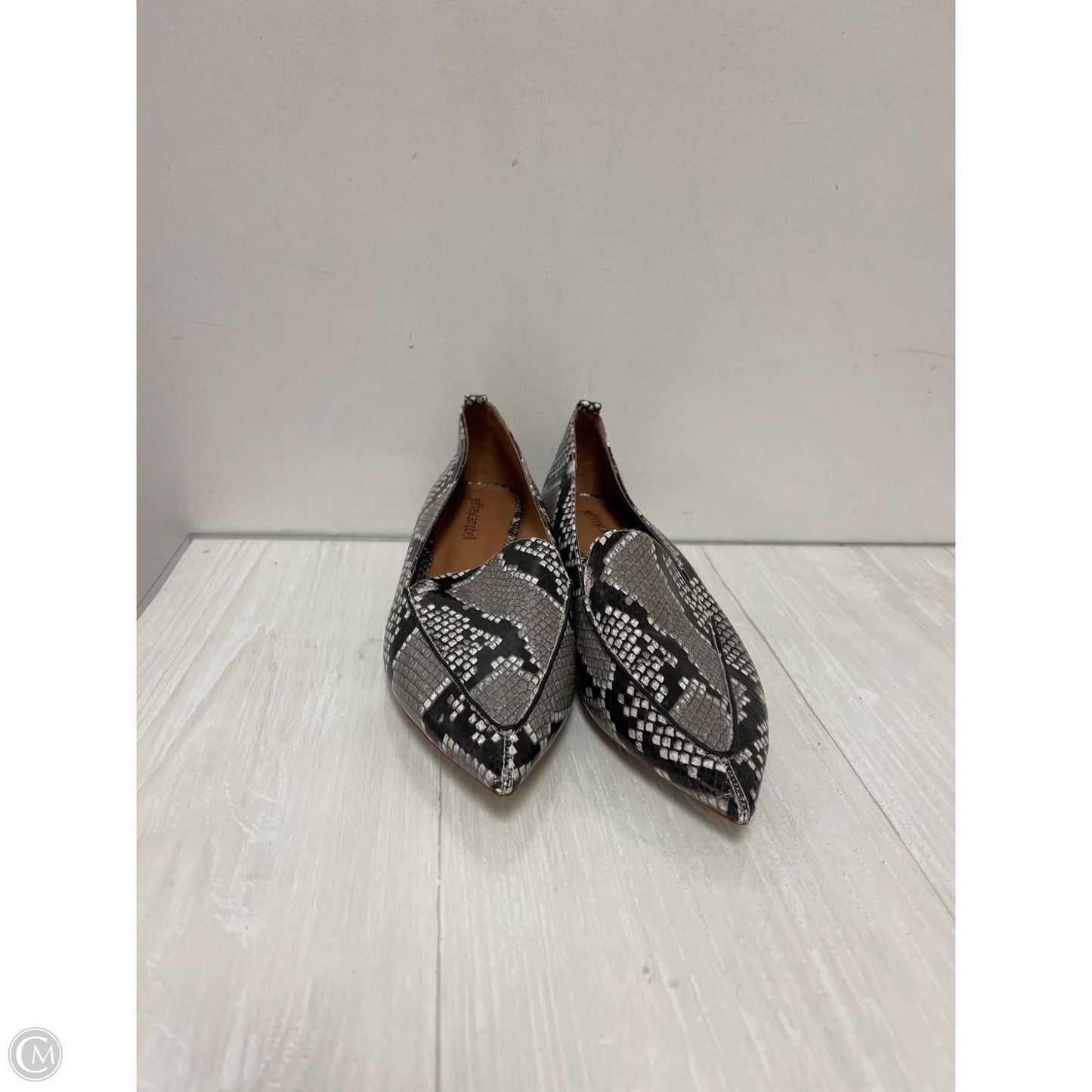 Shoes Heels Block By Jeffery Campbell In Snakeskin Print, Size: 8