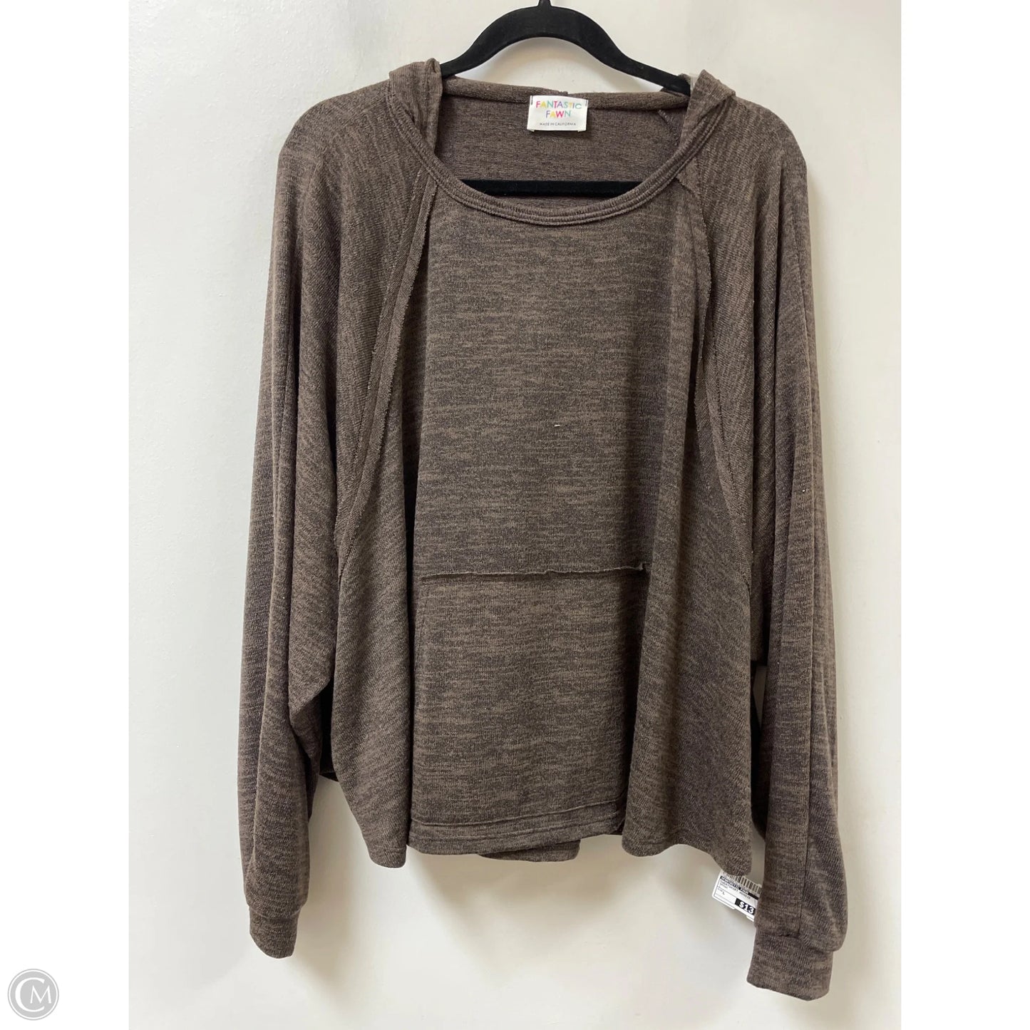 Sweatshirt Hoodie By Fantastic Fawn In Brown, Size: L