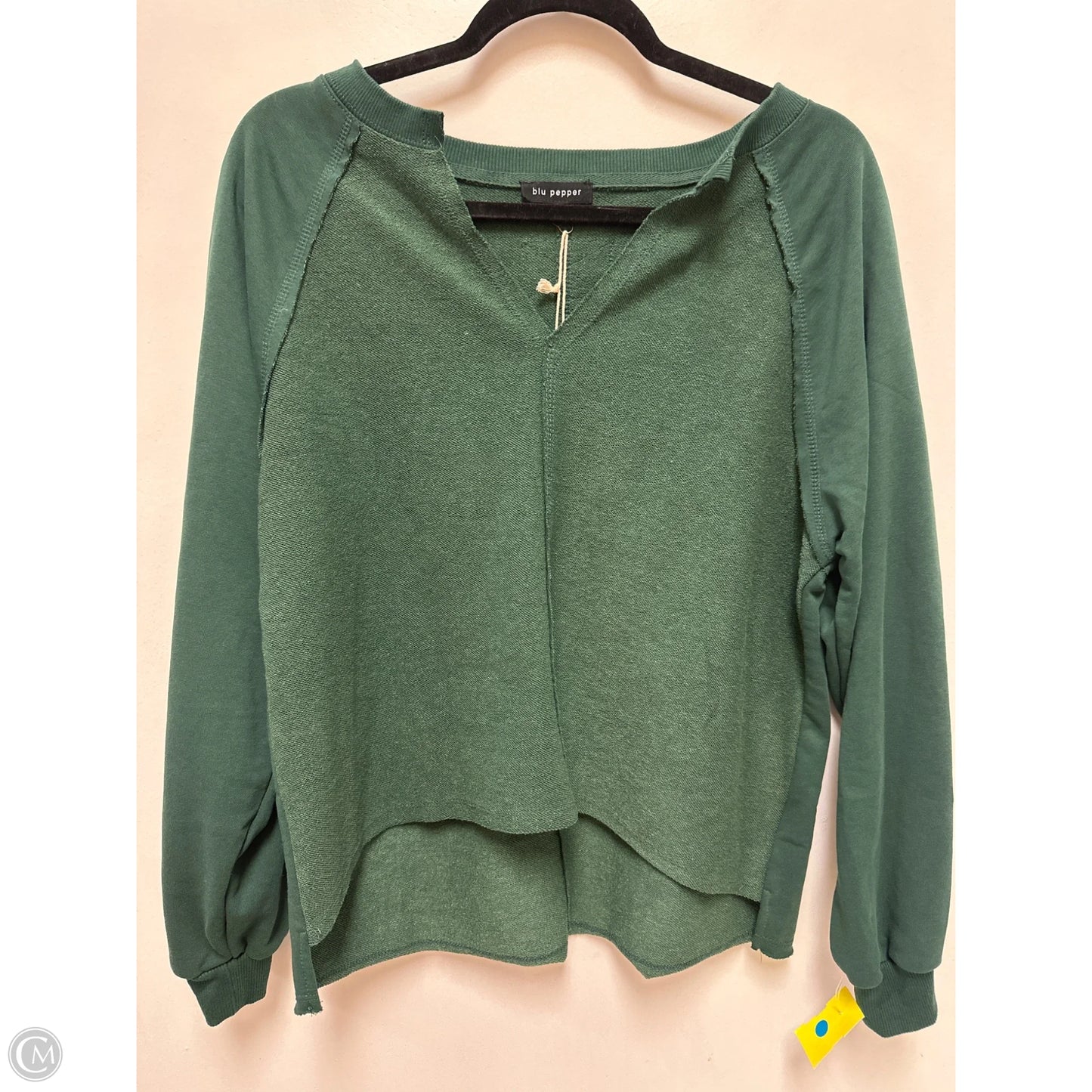 Sweater By Blu Pepper In Green, Size: S