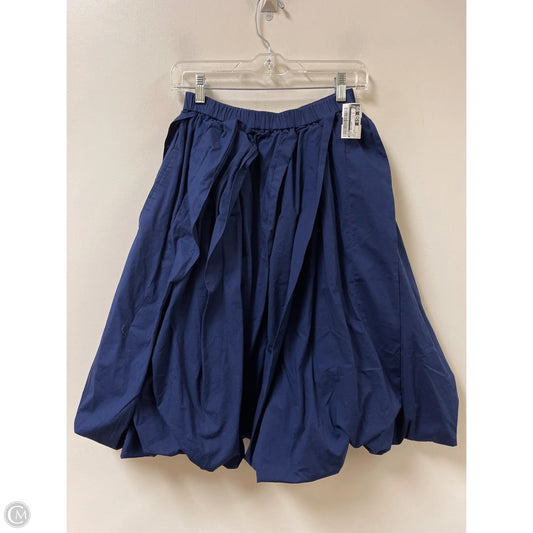 Skirt Designer By Marni In Navy, Size: 4