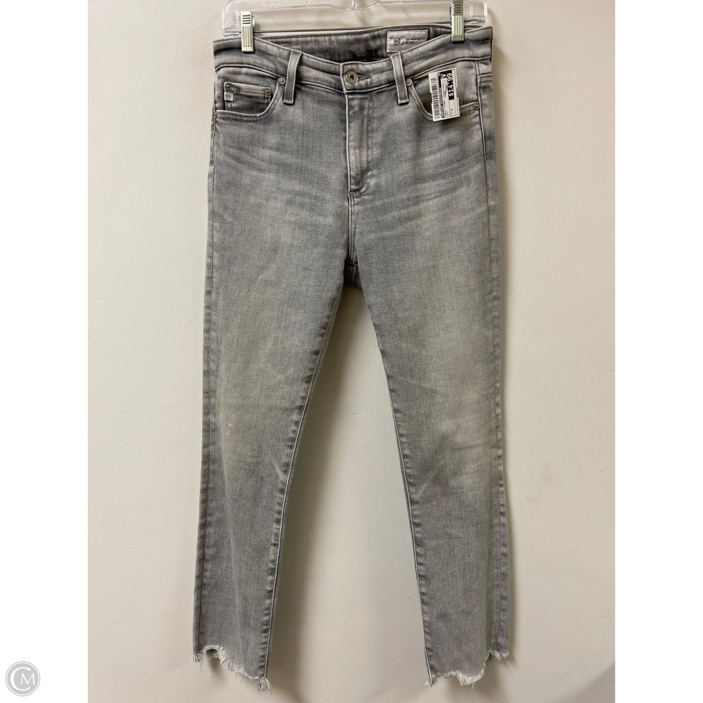 Pants Other By Adriano Goldschmied In Grey, Size: 4