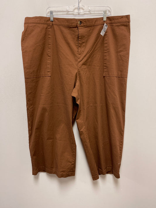 Brown Pants Other Ava & Viv, Size 22