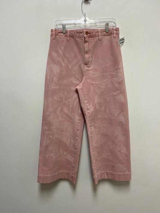 Pink Pants Other Pilcro, Size 10