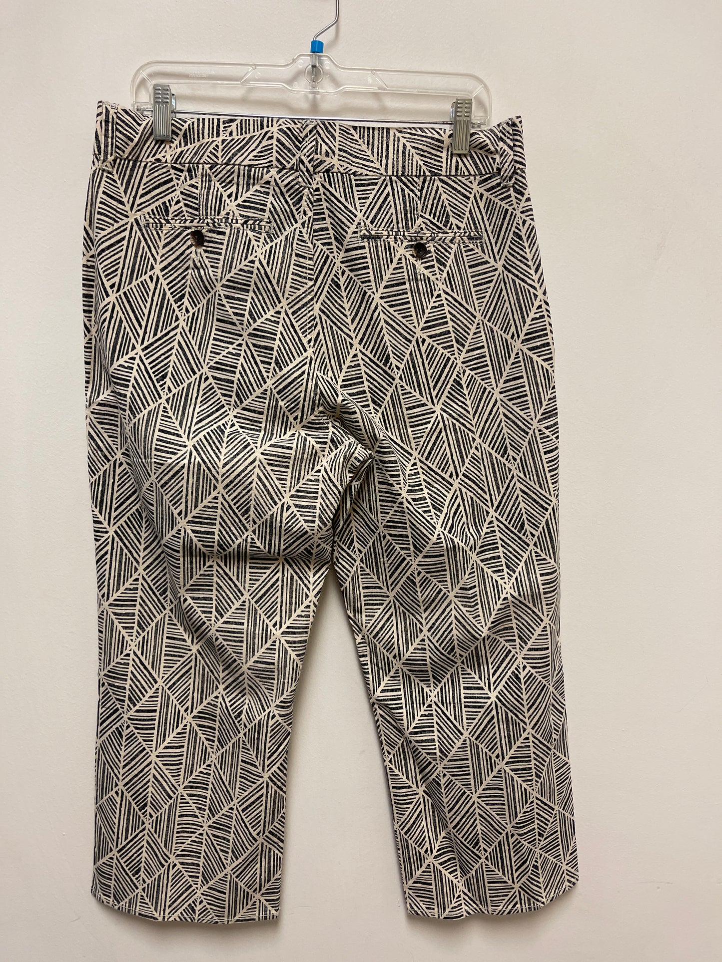 Pants Other By Soft Surroundings In Black & Cream, Size: 10