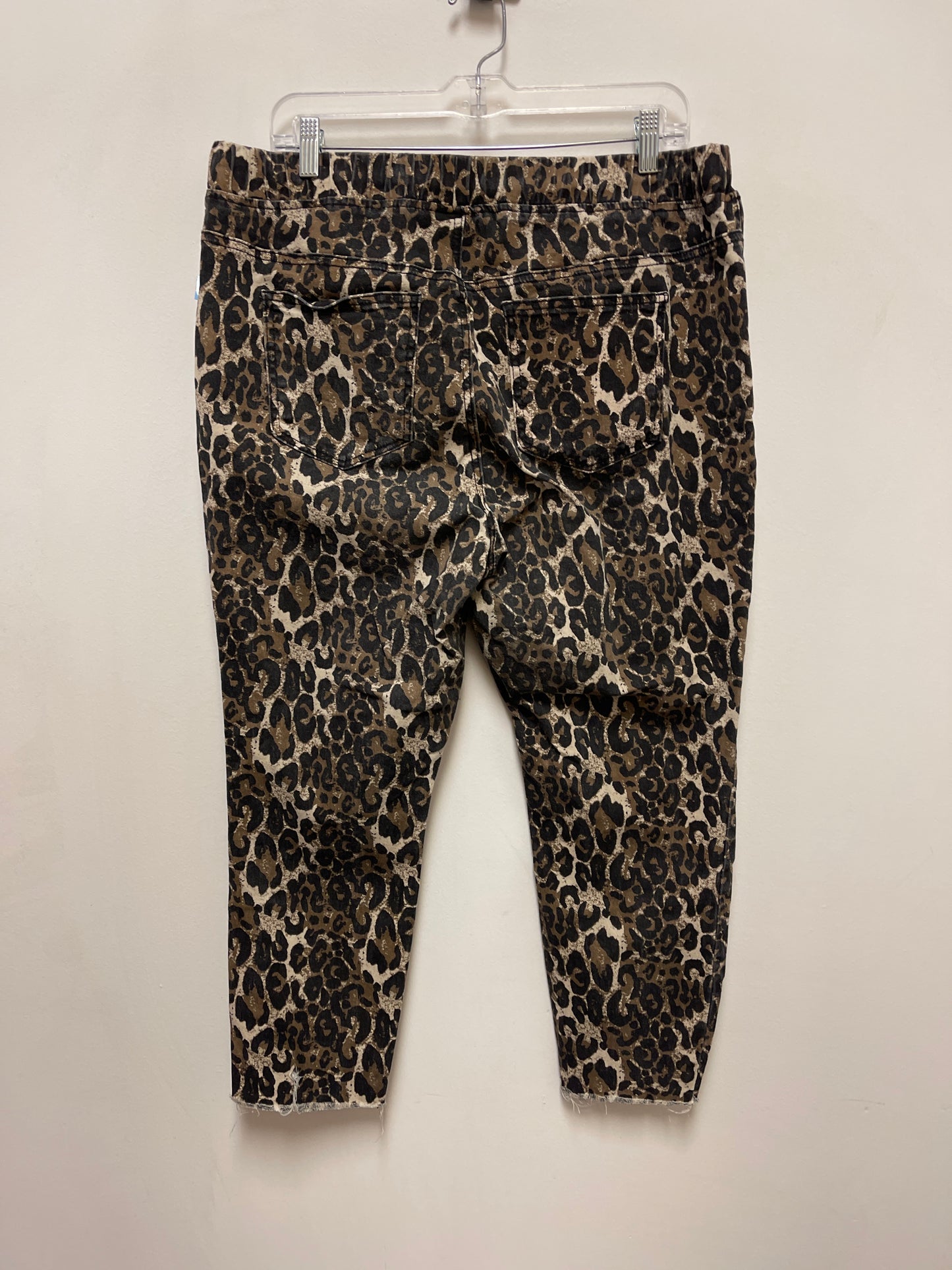 Pants Other By Ymi In Animal Print, Size: 1x