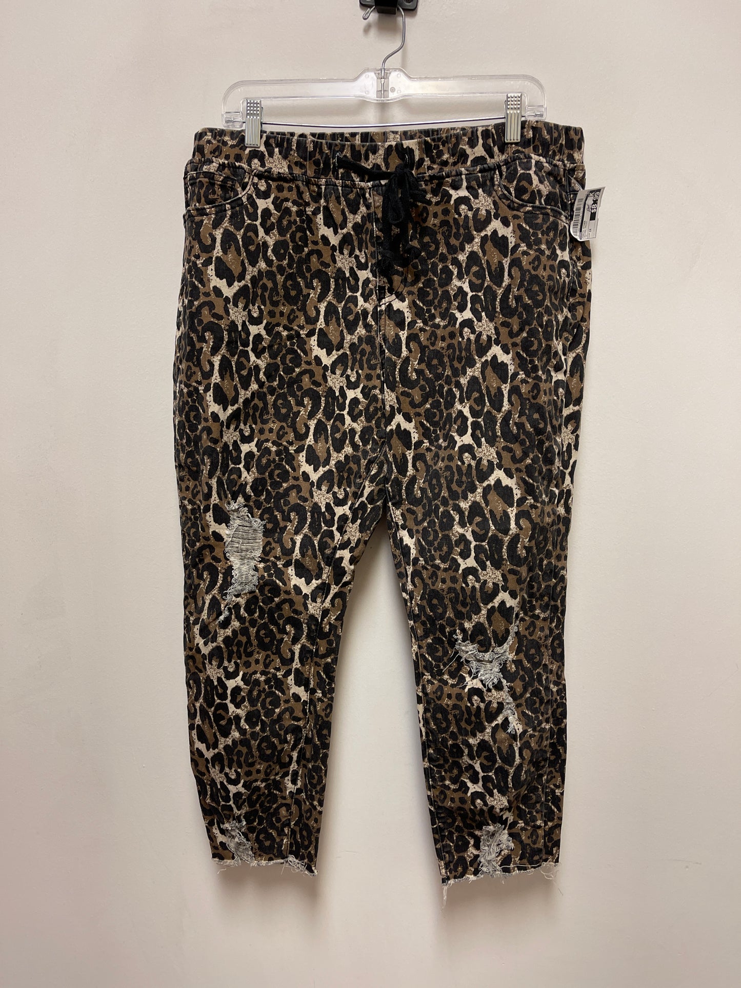 Pants Other By Ymi In Animal Print, Size: 1x