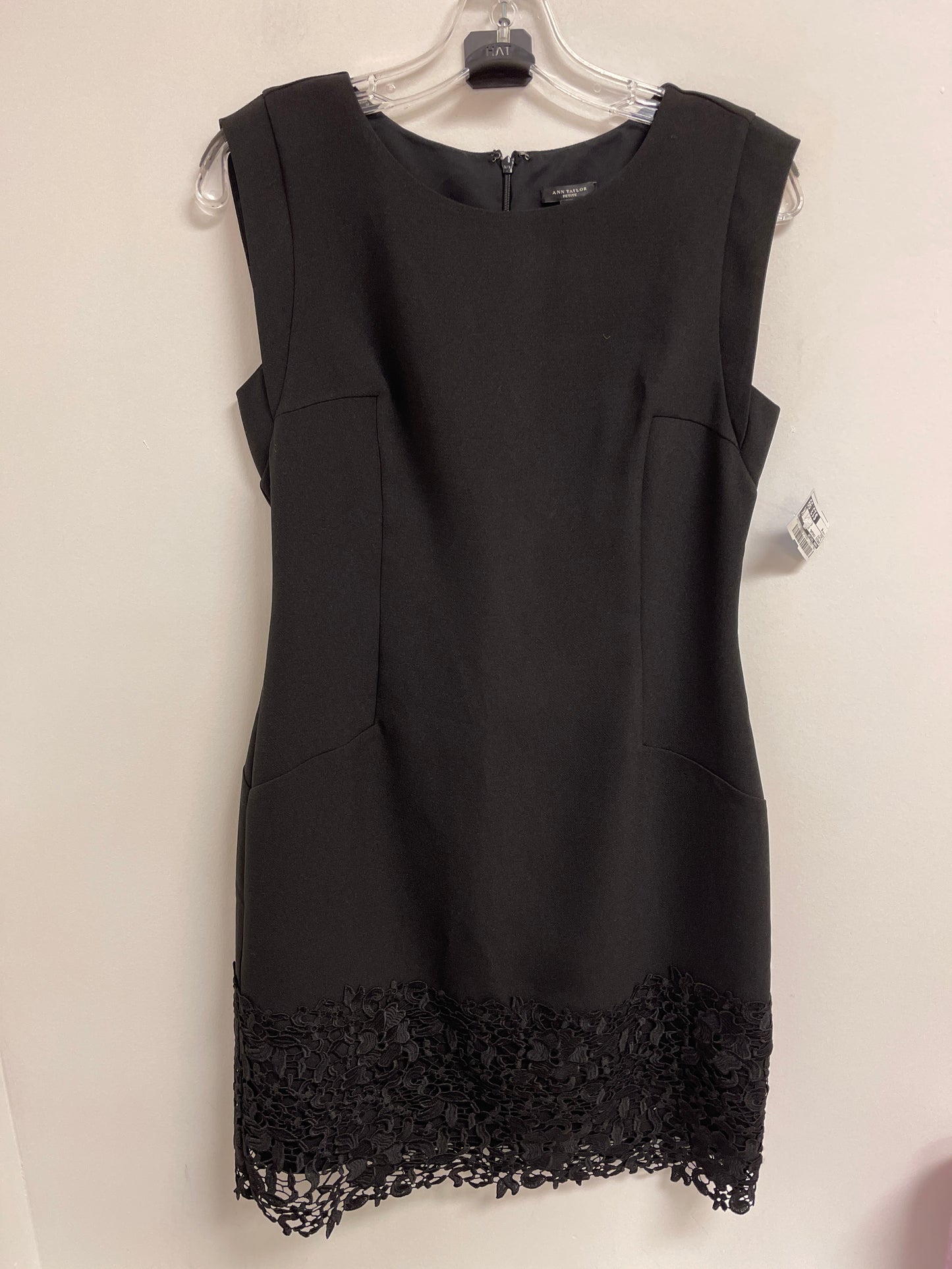 Dress Casual Short By Ann Taylor In Black, Size: M