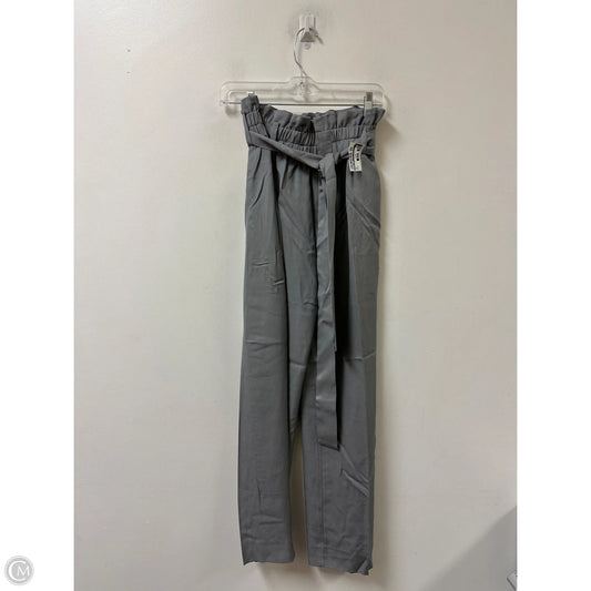 Pants Other By Point Sur In Grey, Size: 4