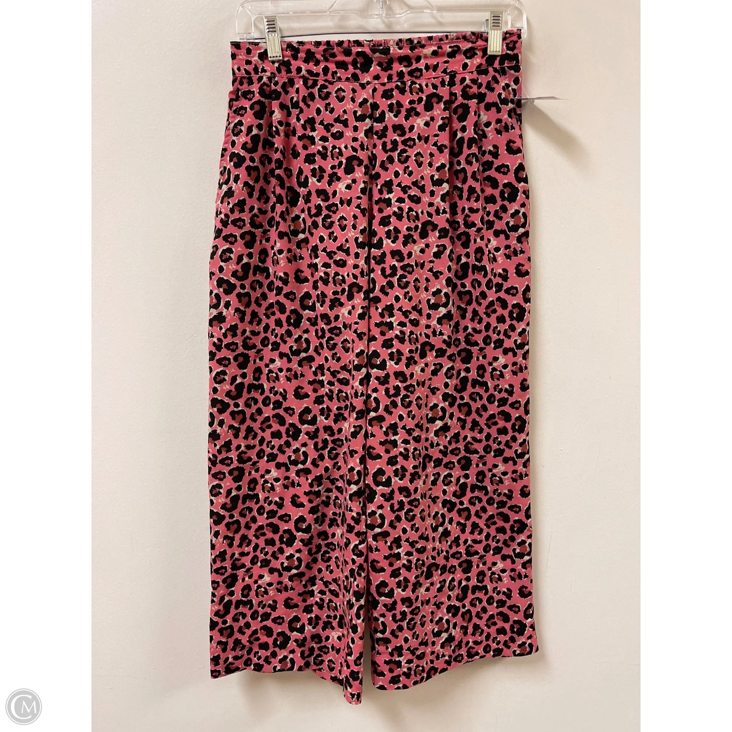 Pants Wide Leg By Ivy Jane In Leopard Print, Size: 4