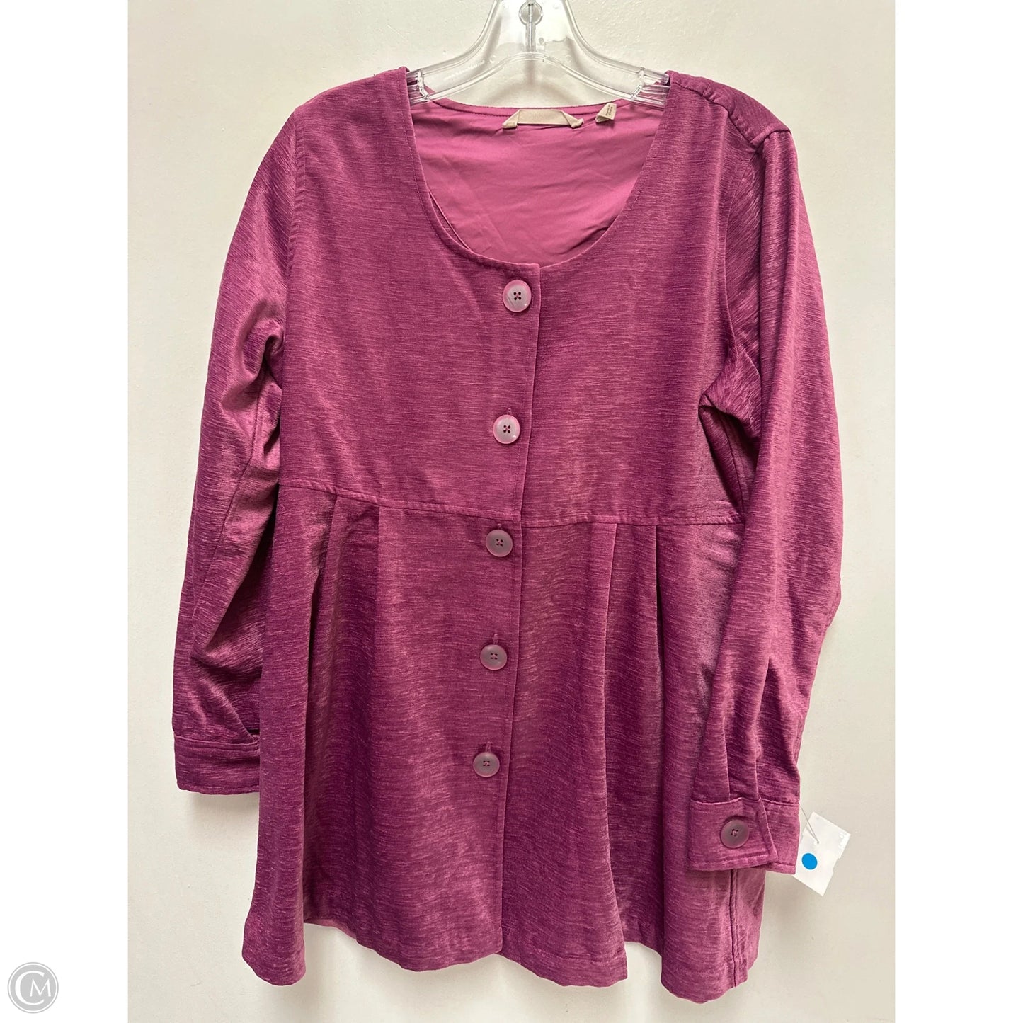 Tunic Long Sleeve By Soft Surroundings In Purple, Size: M