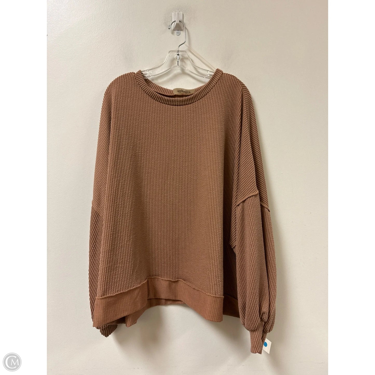 Top Long Sleeve By Haptics In Beige, Size: 2x