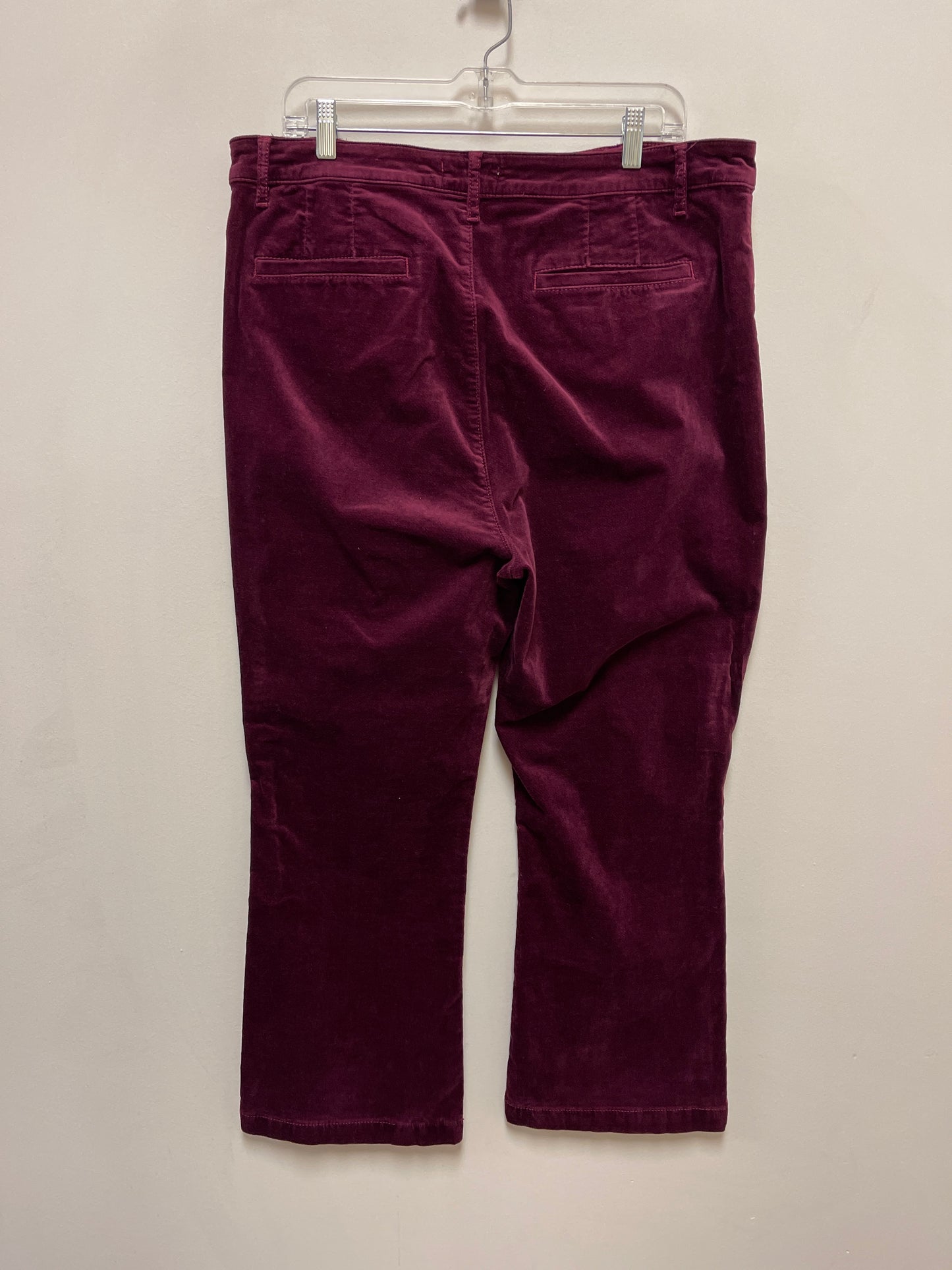 Pants Other By Loft In Purple, Size: 16