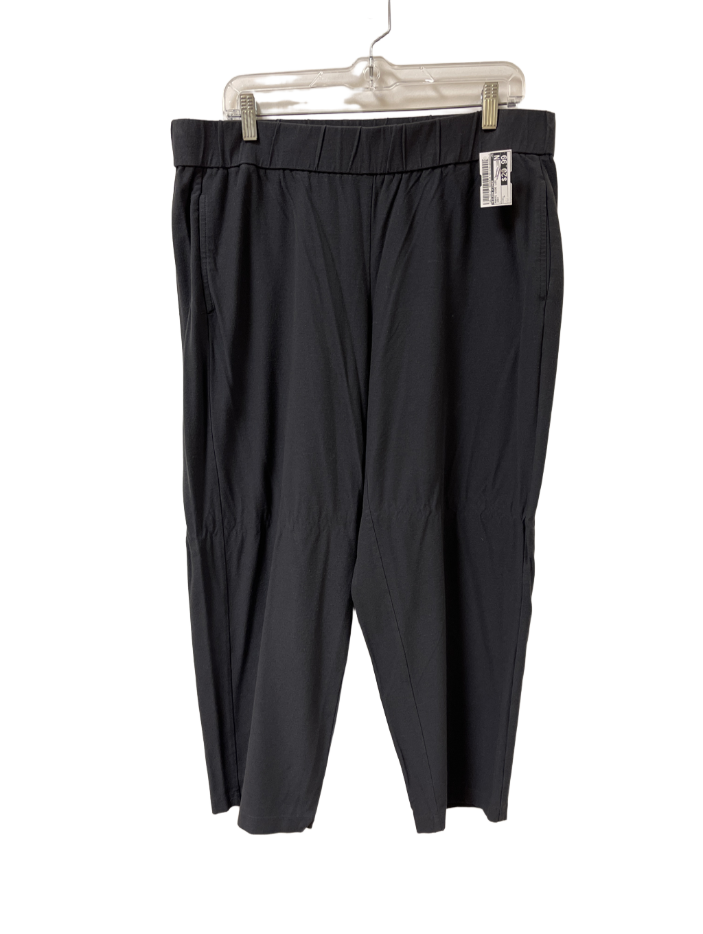 Pants Wide Leg By Eileen Fisher  Size: L